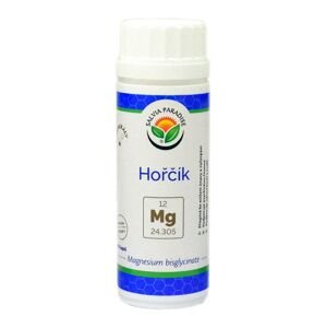 Hořčík bisglycinát Salvia Paradise 90 kapslí