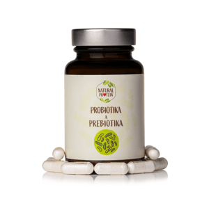 Probiotika a prebiotika