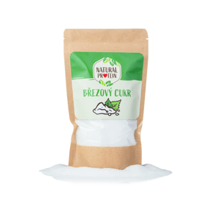 NaturalProtein Březový cukr