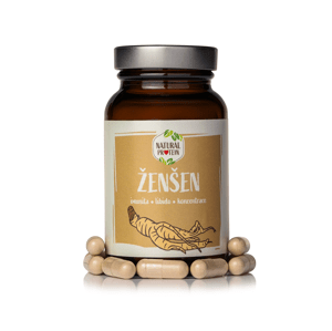 Ženšen