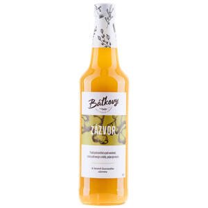 Báťkovy bylinkové sirupy Zázvorový sirup 500ml