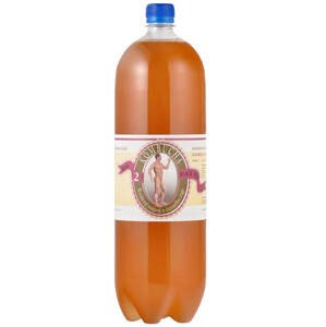 Stevikom Kombucha černý čaj 2l