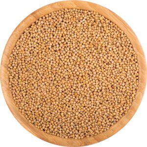 Vital Country Hořčičné semínko žluté BIO Množství: 250 g