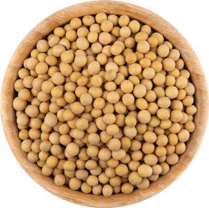 Vital Country Sójové boby BIO Množství: 500 g