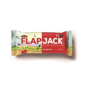 BRYNMOR Flapjack ovesný brusinka 80g