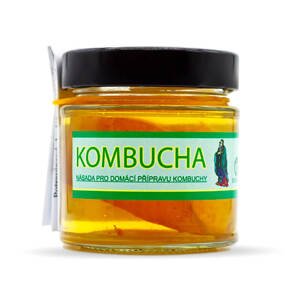 Stevikom Kombucha násada 150g