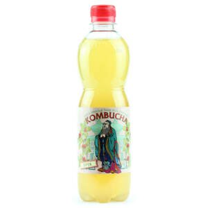Stevikom Kombucha šípek 500 ml